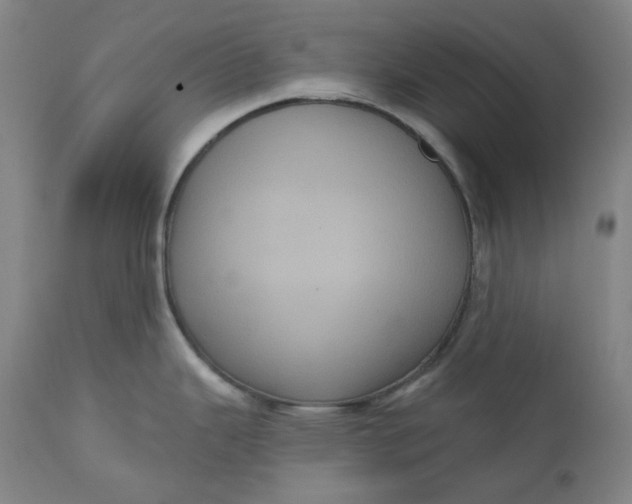 X0000111641343200908071333