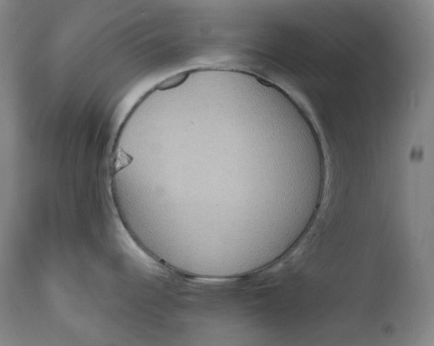 X0000111641344200908071333