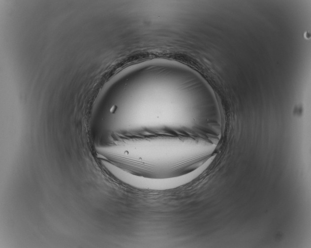 X0000111641345200908071332