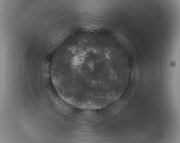 X0000111641346200908071332