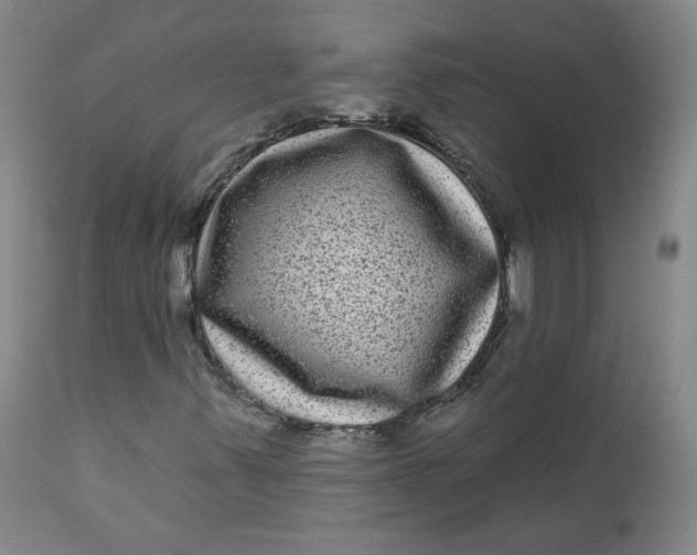 X0000111641347200908071332