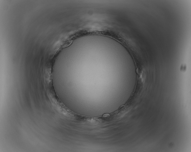 X0000111641348200908071332