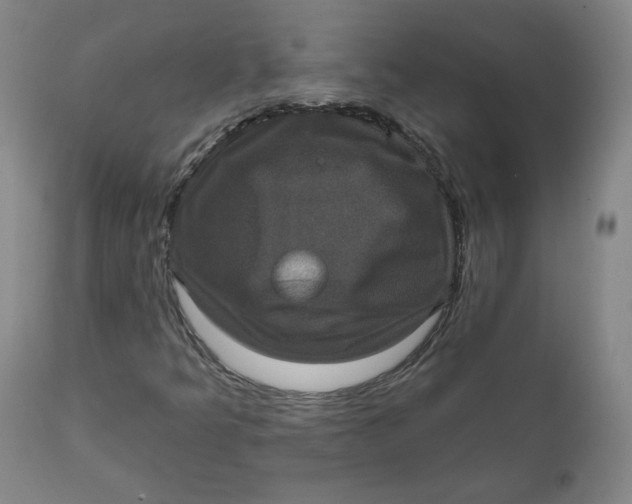 X0000111641349200908071332