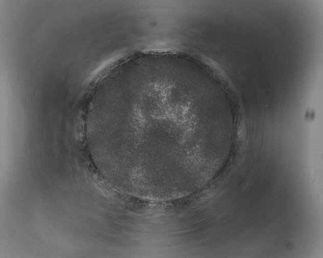 X0000111641350200908071332