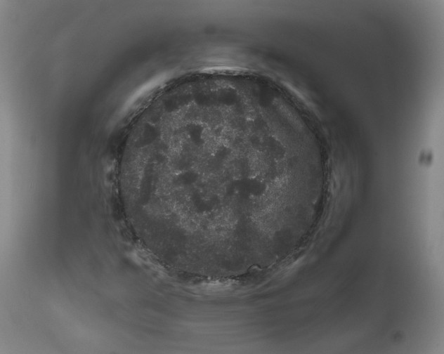 X0000111641351200908071332