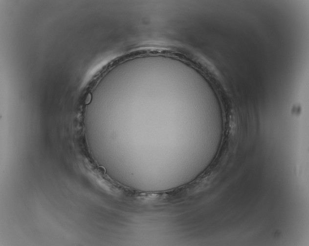 X0000111641352200908071332