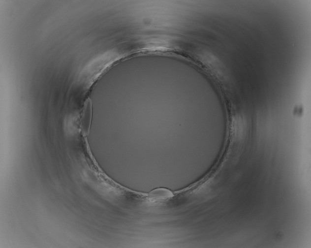 X0000111641353200908071332