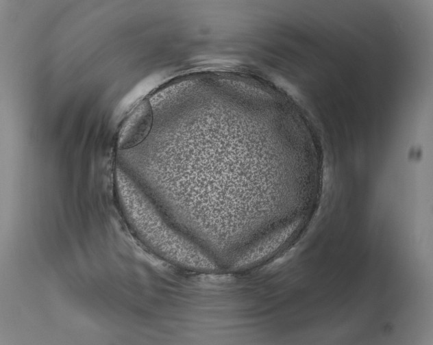 X0000111641354200908071332