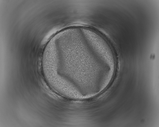 X0000111641355200908071332