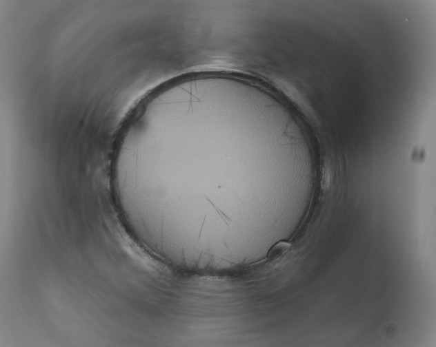 X0000111641356200908071332