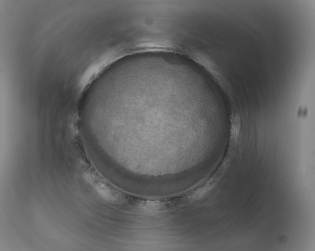 X0000111641357200908071332