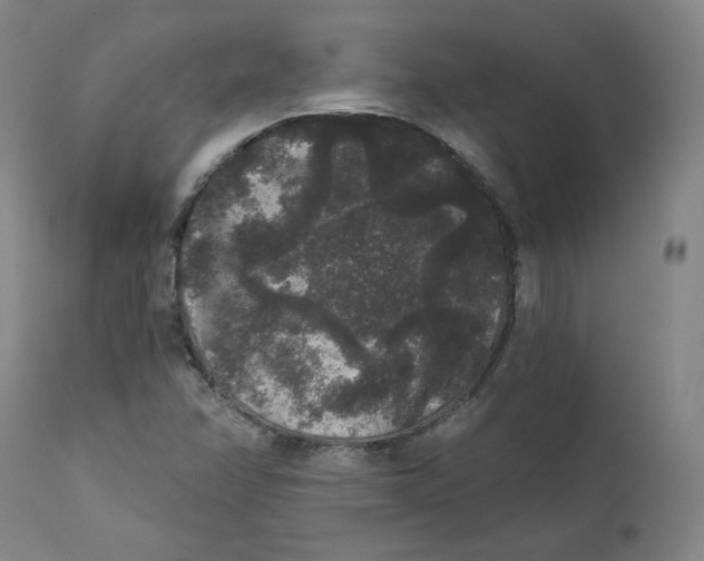 X0000111641358200908071332