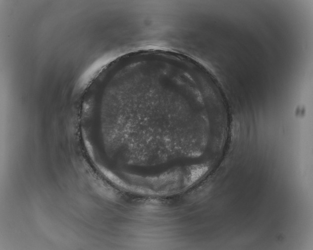 X0000111641359200908071332