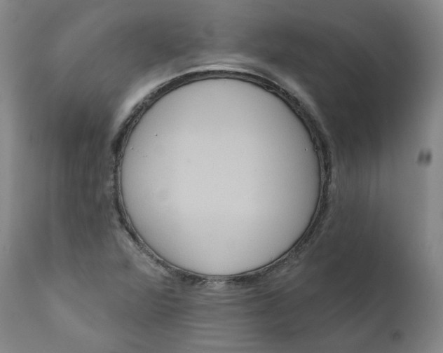 X0000111641360200908071332