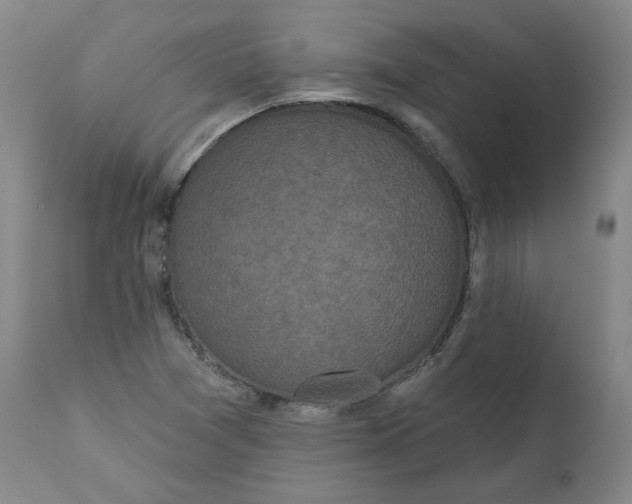 X0000111641361200908071332