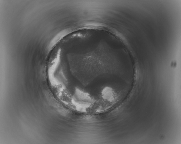 X0000111641362200908071332