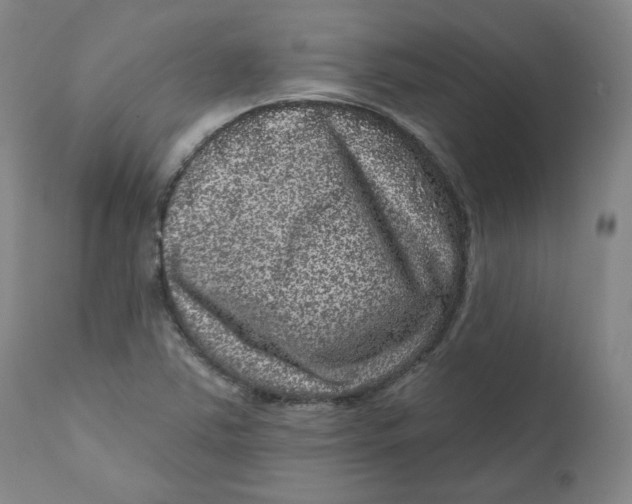 X0000111641363200908071332