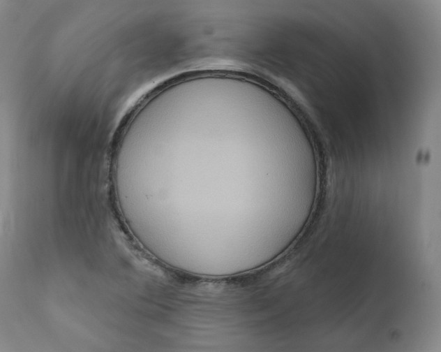 X0000111641364200908071332