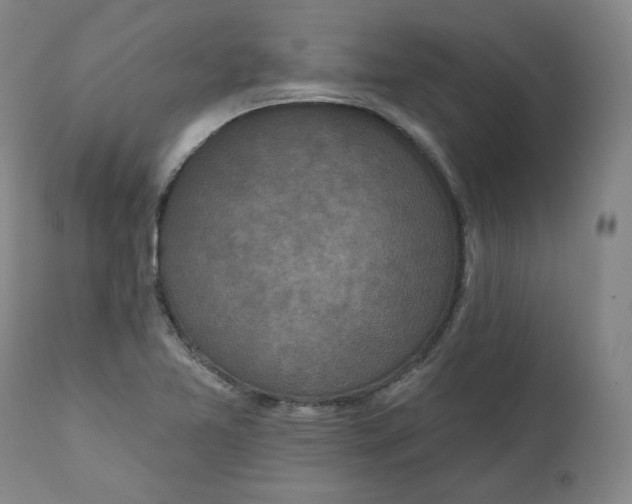 X0000111641365200908071332