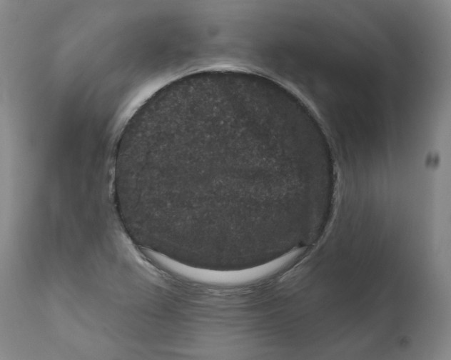 X0000111641367200908071332