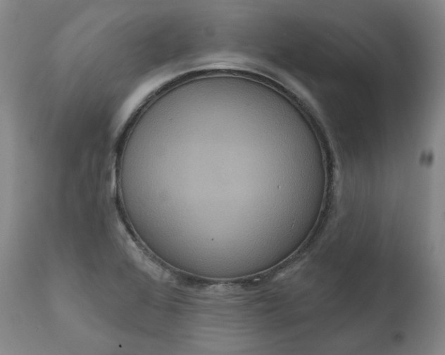 X0000111641368200908071332