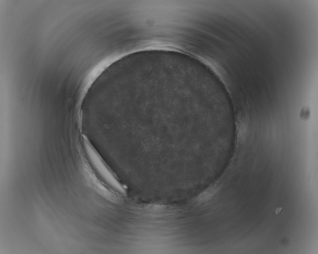 X0000111641371200908071332