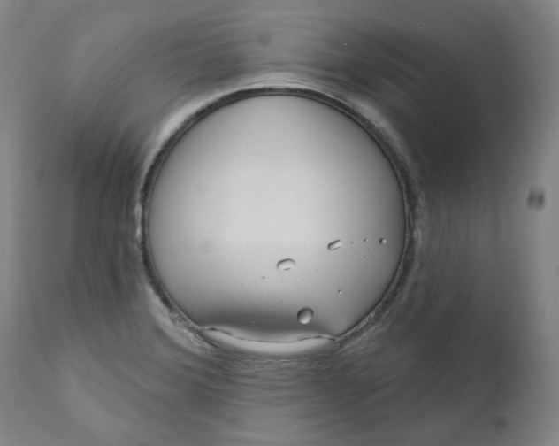 X0000111641372200908071332