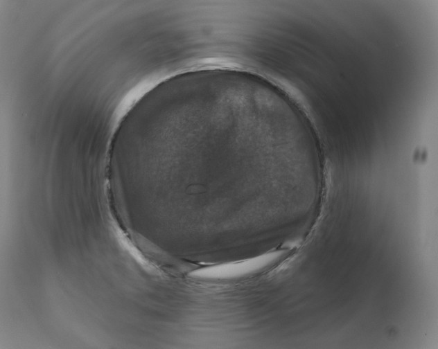 X0000111641373200908071332