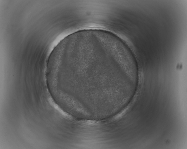 X0000111641374200908071332