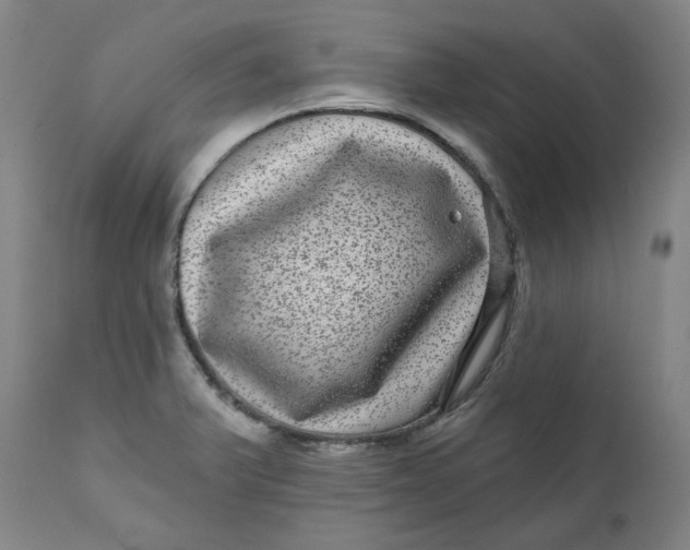 X0000111641375200908071332