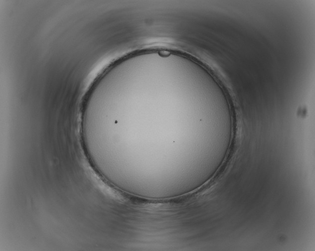 X0000111641376200908071332