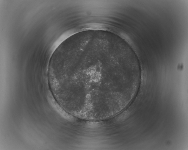 X0000111641378200908071332