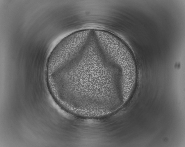 X0000111641379200908071331