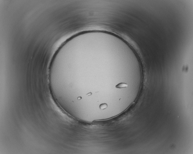 X0000111641380200908071331