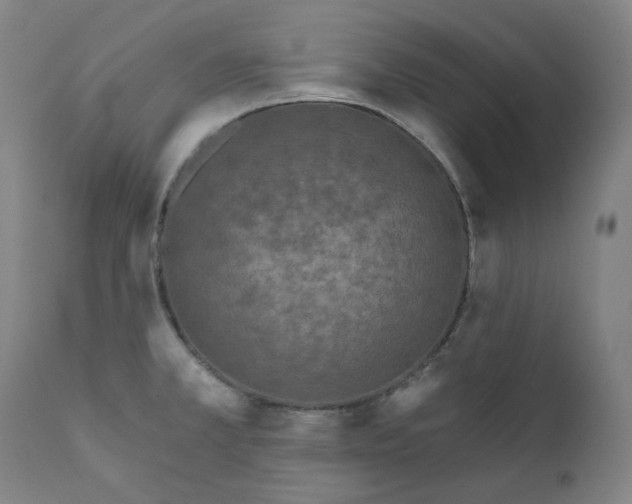 X0000111641381200908071331