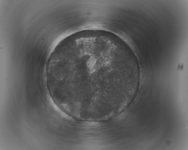 X0000111641382200908071331