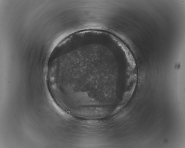 X0000111641383200908071331