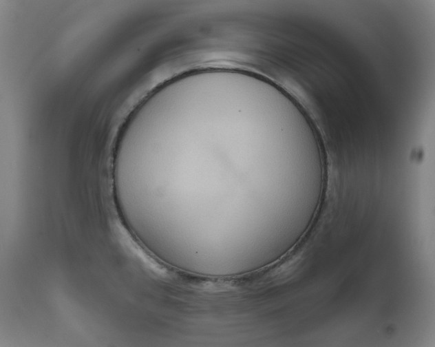 X0000111641384200908071331