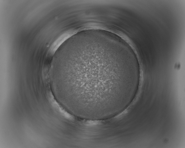 X0000111641385200908071331