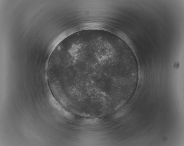 X0000111641386200908071331