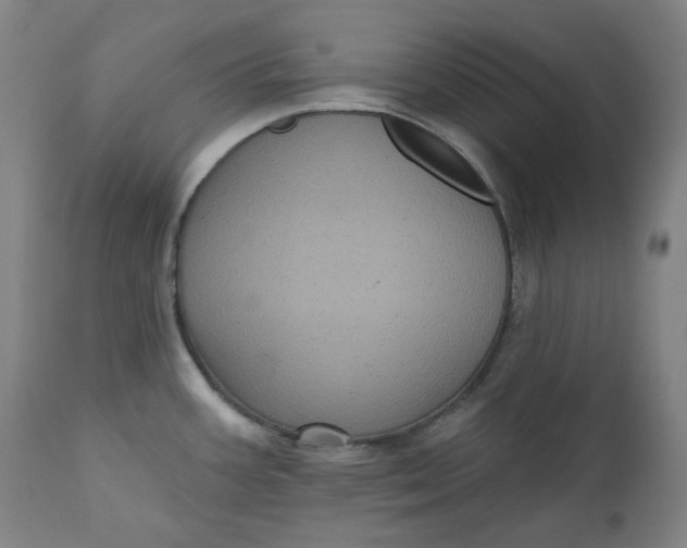 X0000111641387200908071331