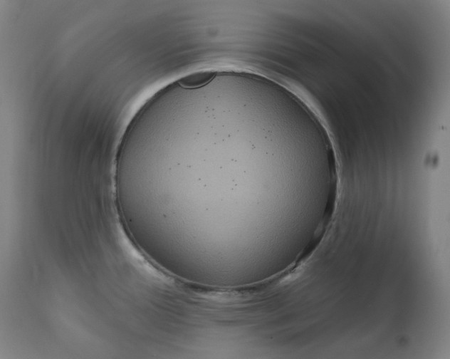 X0000111641388200908071331