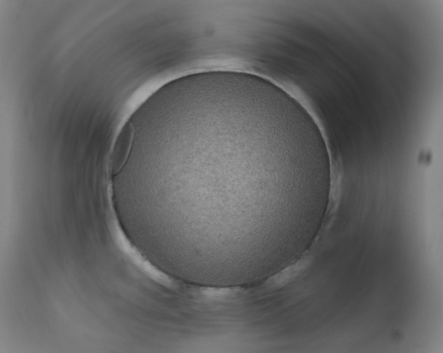 X0000111641389200908071331