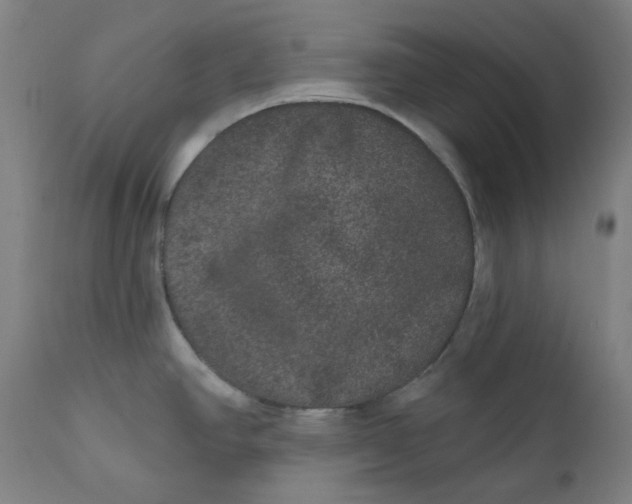 X0000111641390200908071331