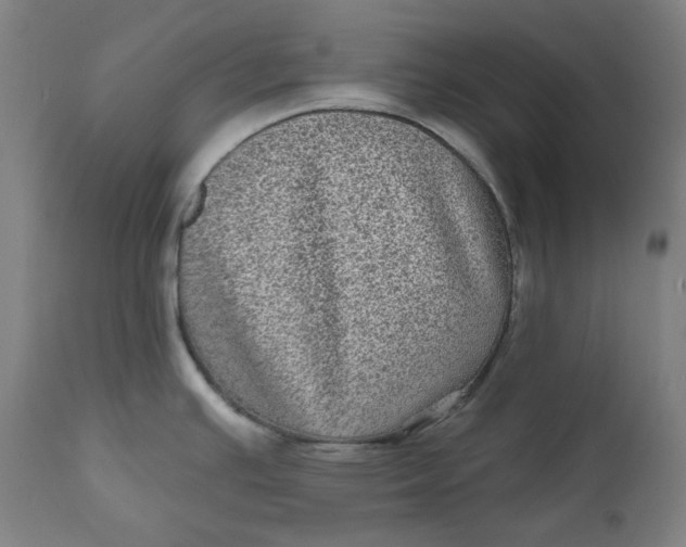 X0000111641391200908071331