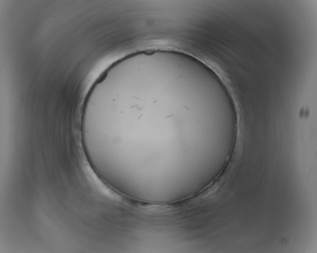 X0000111641392200908071331