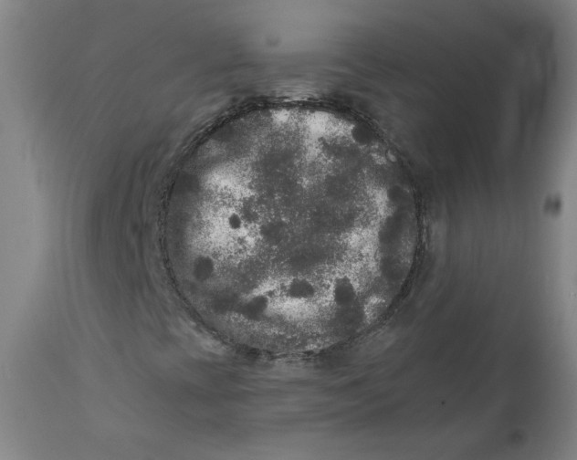 X0000111641393200908071330