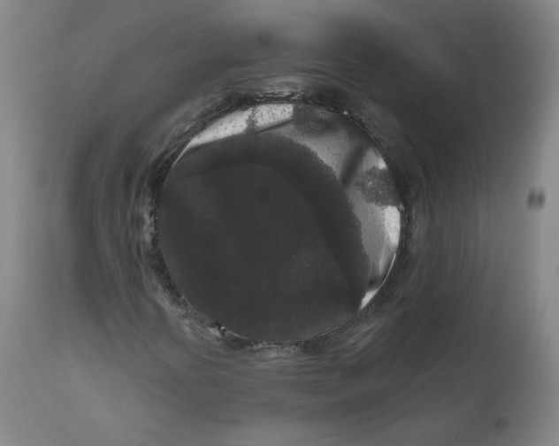 X0000111641394200908071331