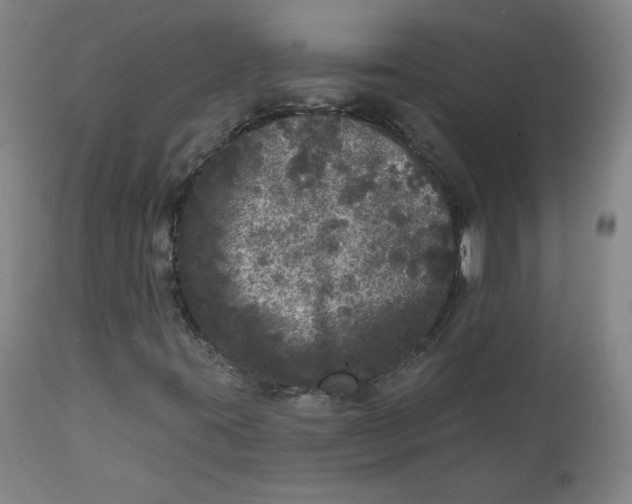 X0000111641395200908071331