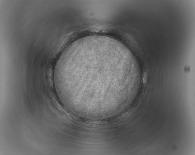 X0000111641396200908071331